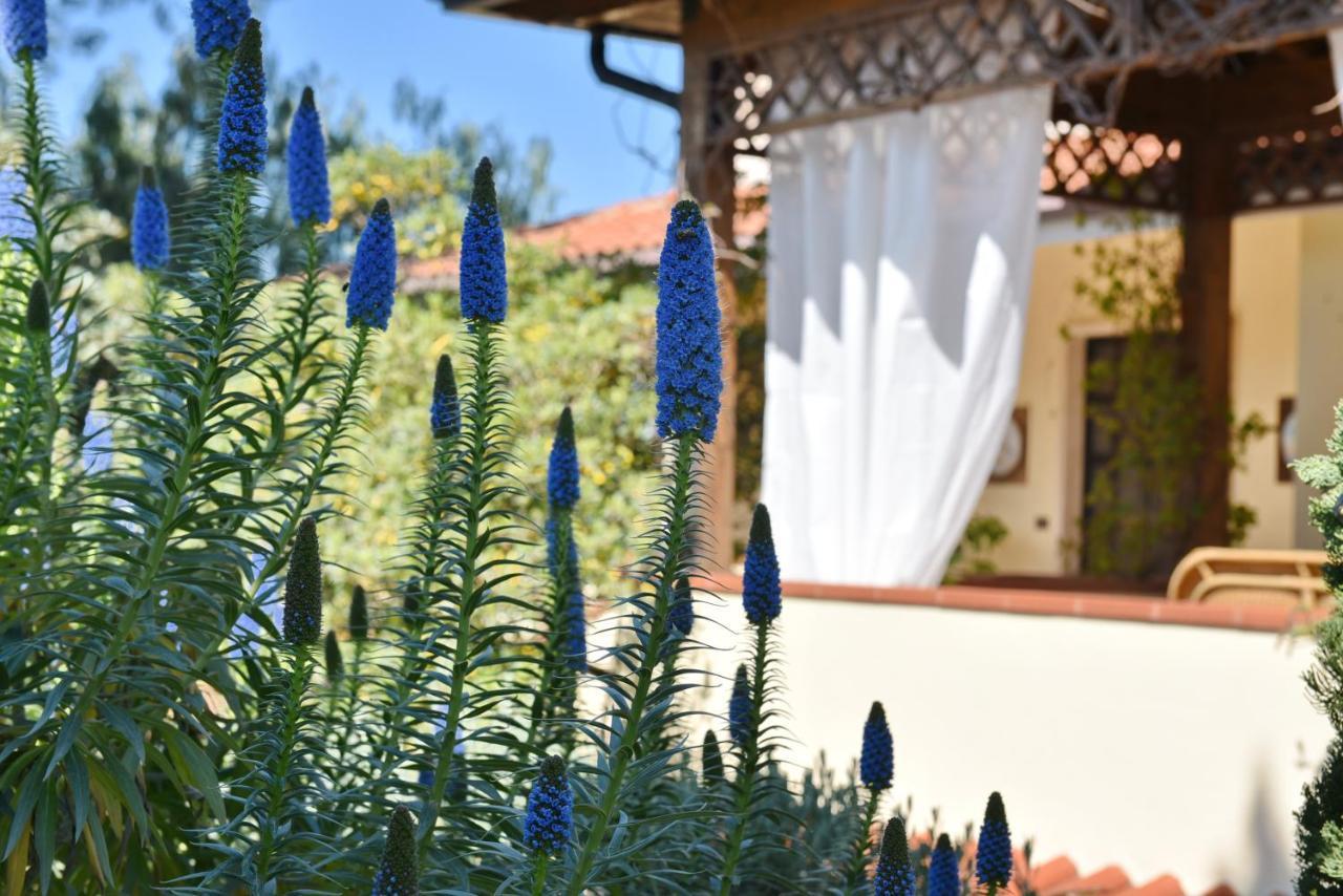 Villa Tina Santa Maria di Castellabate Luaran gambar